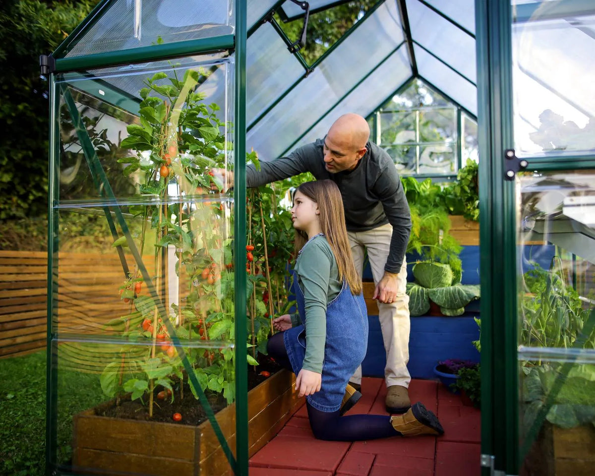 Hybrid 6′ x 12′ Greenhouse – Green Aluminium Frame & Hybrid Polycarbonate Panels