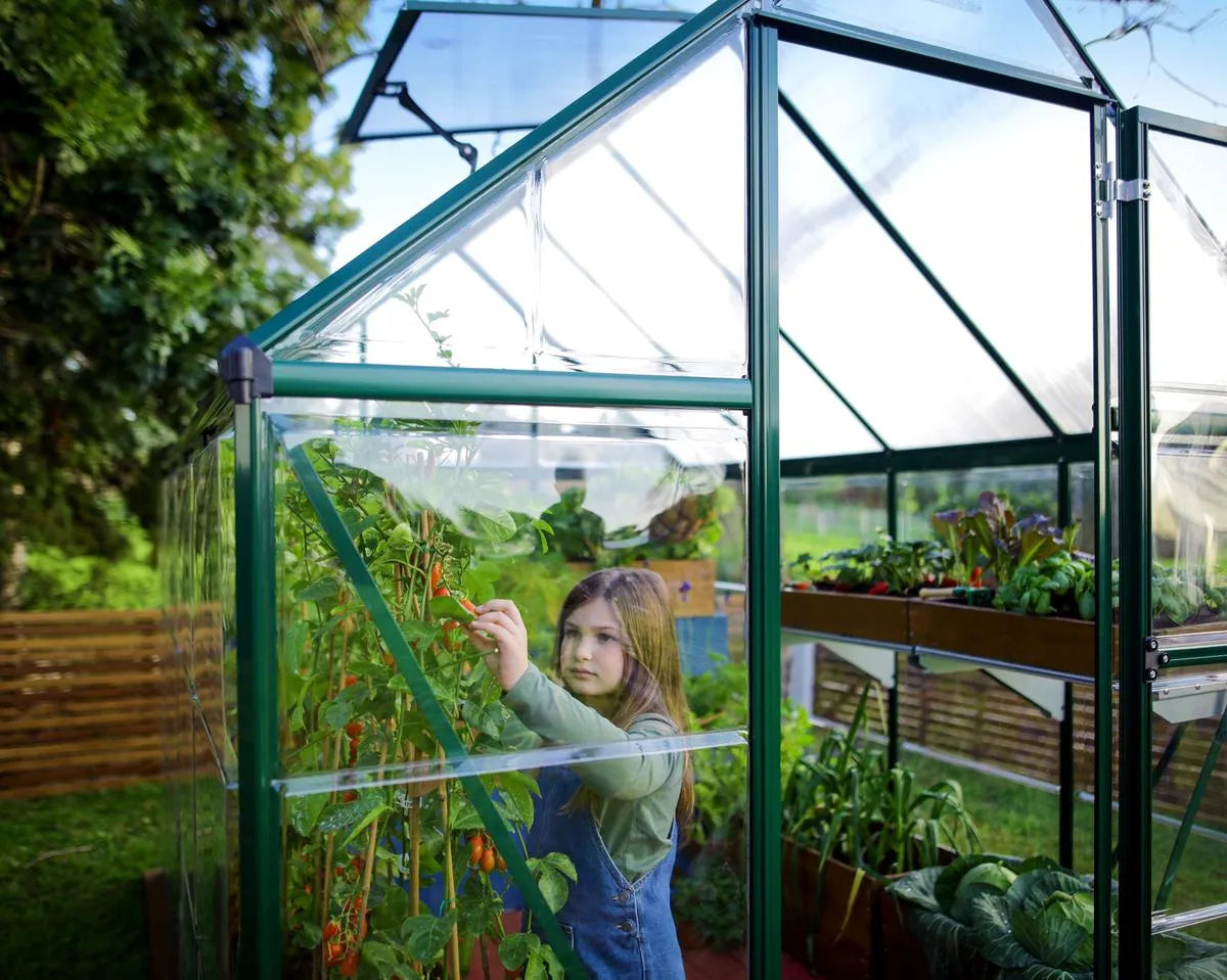 Palram Canopia Hybrid 6 x 14 ft Green Greenhouse
