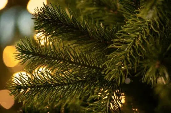 National Tree Newberry Spruce Christmas Tree – Size 6.5 ft