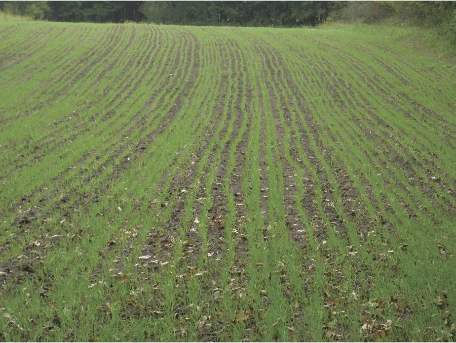 Field Tuff 3-Point 84″ Seeder