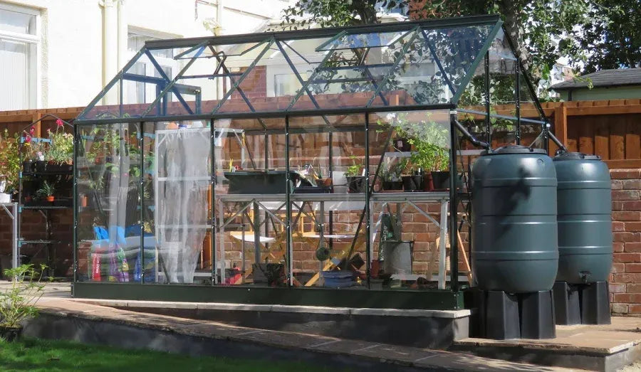 6×10 Halls Popular Green Greenhouse – 3mm Toughened Glass