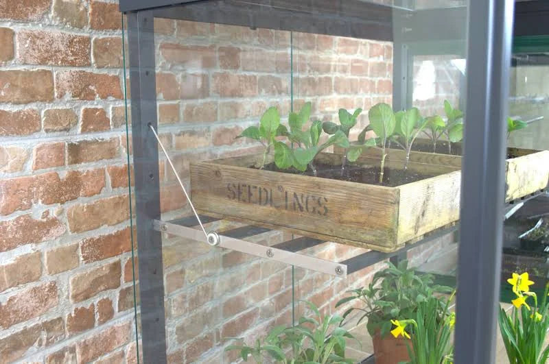 City Max Growhouse (Colour Coating: Frame & Shelves Cotswold Green)