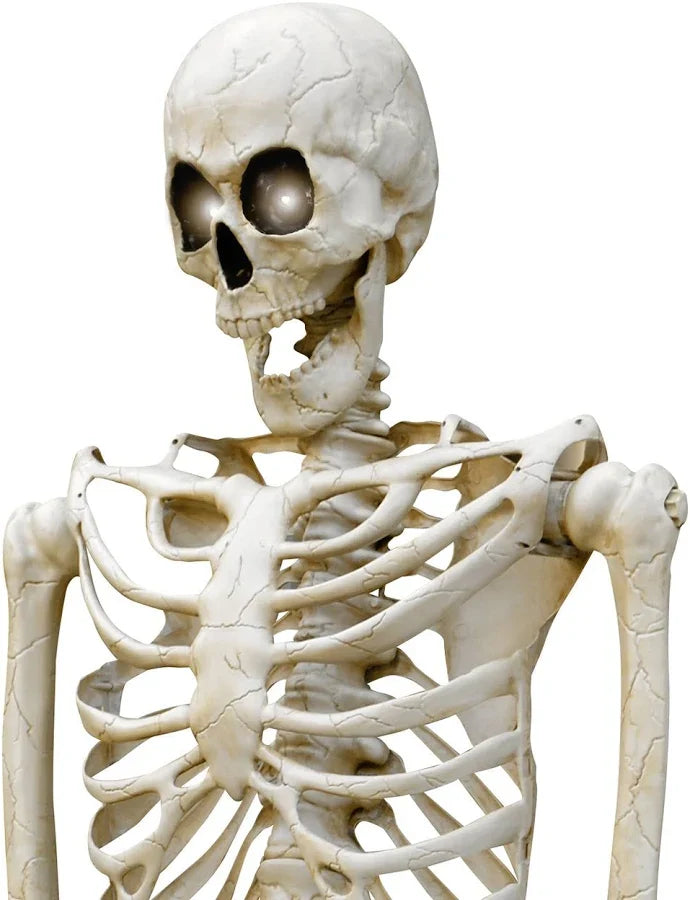 Gigantic Giant Skeleton 3 Meters