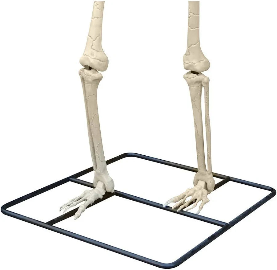 Gigantic Giant Skeleton 3 Meters
